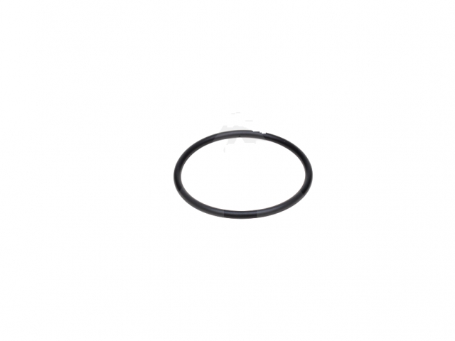 CNH 17283381 O-RING