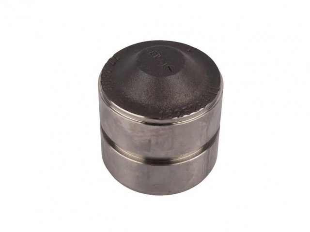 LANDİNİ 1825284M1 PISTON