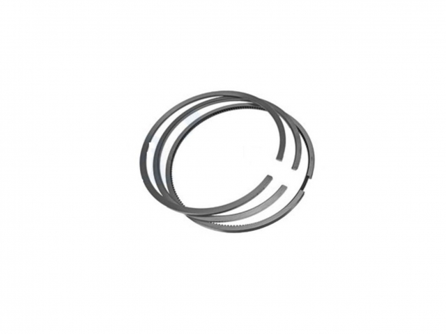 CNH 1931019 SET OF RINGS