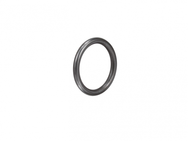 4890926 O-RING