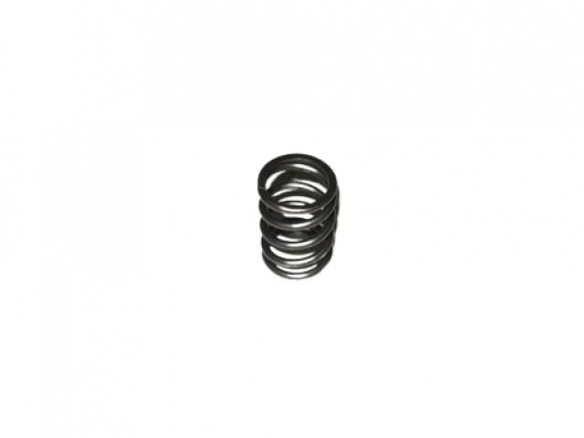 5088013 VALVE SPRING