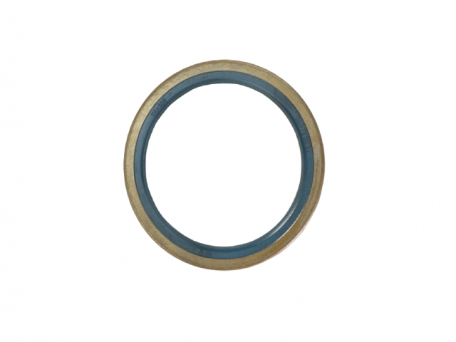 CNH 5121907 SEAL