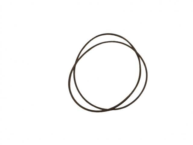 CNH 5165512 SEAL