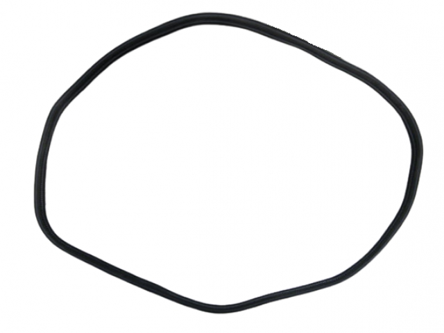CNH 84396395 SEAL, GLASS